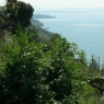 Gite in barca giornaliere